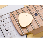 złota kostka do gitary - jako tło Fender Stratocaster